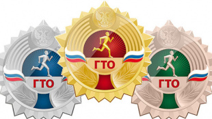 В Завитинском районе готовятся к вручению знаков отличия ГТО