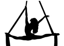 26 апреля. Чемпионат и первенство Амурской области по воздушной гимнастике