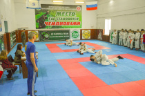 Больше сотни амурчан прошли тестирование комплекса ГТО по самозащите без оружия