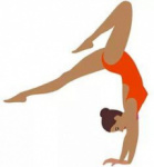 Открытое первенство Амурской области по спортивной гимнастике 