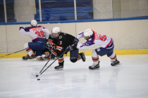 Первенство Дальневосточного федерального округа по хоккею сезона 2019-2020 гг.