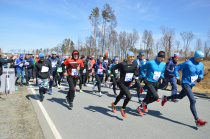 «Путь к звездам» преодолели любители бега