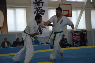 Чемпионат и первенство области по киокусинкай прошли в амурской столице