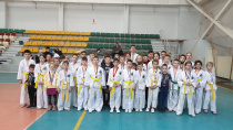 Амурчане-тхэквондисты везут из Хабаровска 65 медалей