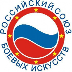 Показательные выступления спортсменов Амурского отделения Российского Союза Боевых Искусств