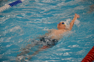 Девять «кандидатов» и четыре десятка перворазрядников: федерация плавания Амурской области доложила о развитии своего вида спорта 