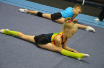 День гимнастики