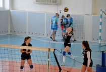 Первенство области по волейболу прошло в Благовещенске