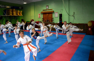 Спорт для ребенка: киокусинкай