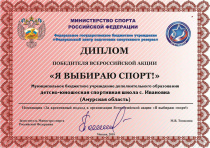 Работу ДЮСШ села Ивановка отметили в министерстве спорта России