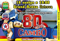 16 ноября в России отмечается День самбо