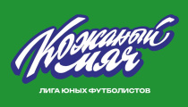 Всероссийские соревнования по футболу на призы клуба «Кожаный мяч - Лига юных футболистов» городская лига