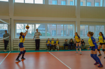 Волейбол, легкая атлетика и футбол: минспорт области назвал самые популярные виды спорта в Приамурье по итогам 2020 года