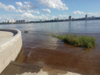 Международный заплыв «Дружба» переносится на следующее лето