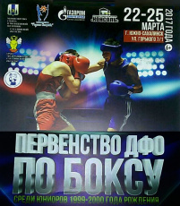 Первенство Дальневосточного федерального округа по боксу. Серебро у амурского спортсмена