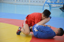 Всероссийский День самбо отметили в Приамурье