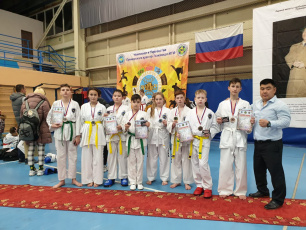 Амурские тхэквондисты успешно выступили в Приморье