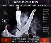 Первенство мира по джиу-джитсу (до 15 лет)