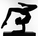 23-24 апреля. Открытое первенство Амурской области по спортивной гимнастике