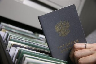 Организации и индивидуальные предприниматели смогут получить государственную поддержку при трудоустройстве безработных граждан