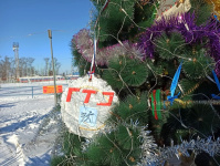 На стадионе "Амурсельмаш" появится аллея Ёлок ГТО 