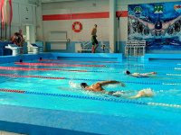 Четверть сотни белогорцев выполнили нормы ГТО по плаванию