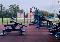 Малолетние вандалы устроили погром на новой спортивной площадке в Константиновке