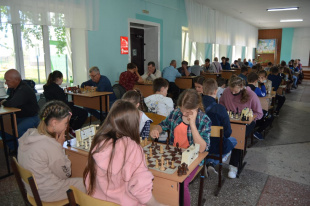 "Короля времени" определили амурские шахматисты 