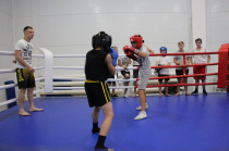 Ушуисты на боксерском ринге