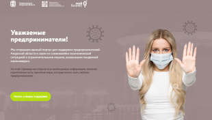 Единый портал для поддержки предпринимателей в условиях пандемии заработал в Приамурье