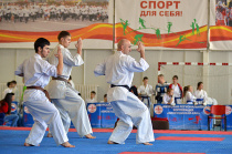 В Приамурье стартует областной онлайн-турнир по киокусинкай