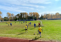 XXXVI областная сельская комплексная Спартакиада среди сборных команд районов 2020-2021 гг.