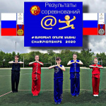Амурчане приняли участие в онлайн-чемпионате и первенстве Европы по ушу-таолу и внутренним стилям ушу