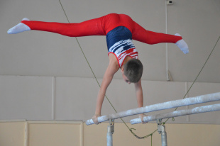  Областная столица приняла командное первенство ДФО по спортивной гимнастике