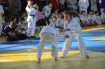 Открытое первенство по дзюдо «Юный амурец» прошло в областной столице