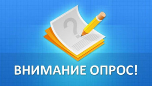 Амурчан просят высказать свои предпочтения, относительно социально-экономического развития региона