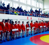 Всероссийские соревнования по самбо среди мужчин "Дружба" 