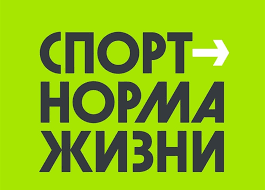 Работы по обустройству физкультурно-оздоровительного комплекса открытого типа в Возжаевке возобновят с наступлением летних каникул