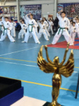 В областной столице прошло первенство города по тхэквондо по версии ITF 