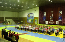 Итоги выполнения тестов комплекса «ГТО». Протоколы