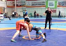 Всероссийский турнир по спортивной (вольной) борьбе среди мужчин памяти МС СССР Алексея Ковалева