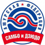 Воспитанник школы Олимпийского резерва Никита Титов стал победителем первенства ДФО по самбо