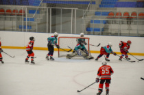 Турнир, приуроченный ко Всероссийскому Дню хоккея, прошел в областной столице