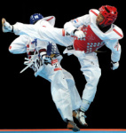 Объявление государственной аккредитации общественных организаций для наделения их статусом региональной спортивной федерации по виду спорта «тхэквондо ИТФ»