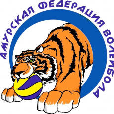 Первенство Амурской области по волейболу среди девушек и юношей 2007-2008 г.р. «Летающий мяч-ДВ»