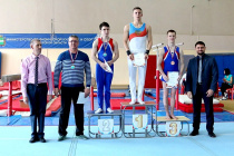 Чемпионат и первенство ДФО по спортивной гимнастике 