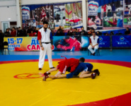 День самбо амурские борцы отметили соревнованиями