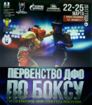Первенство Дальневосточного федерального округа по боксу. Серебро у амурского спортсмена