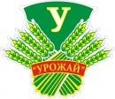 04 октября. Сельская Спартакиада в 2026-2027 г. Футзал. Отборочный этап