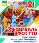 Фестиваль ГТО среди трудовых коллективов пройдёт в Завитинске